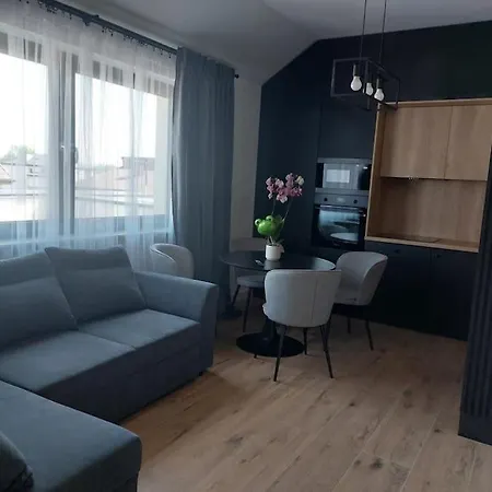 Apartament Z Duzym Tarasem Краків Екстер'єр фото