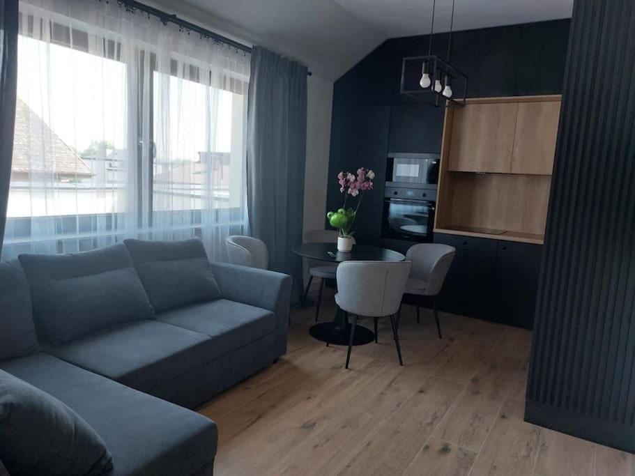 Z Duzym Tarasem Apartment Krakow